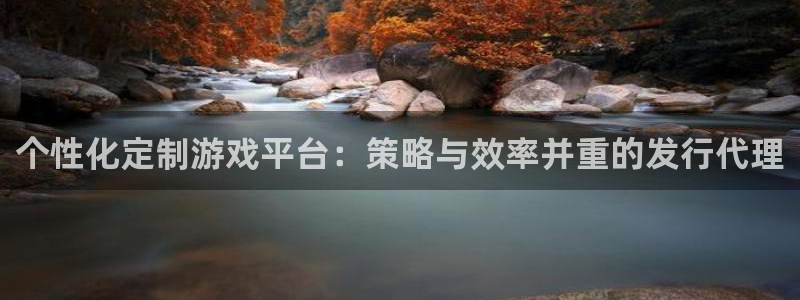 ag街机子写作课：个性化定制游戏平台：策略与效率并重的发行代理
