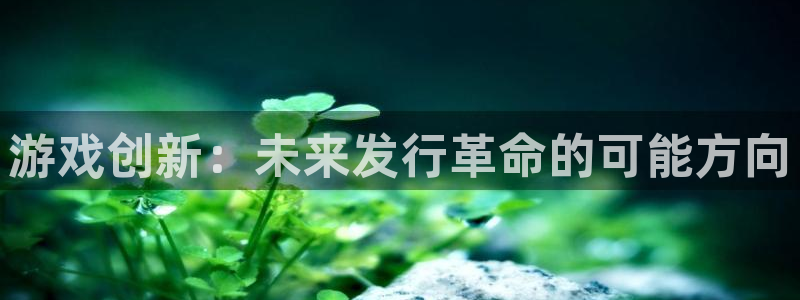 广州ag街机运动服：游戏创新：未来发行革命的可能方向