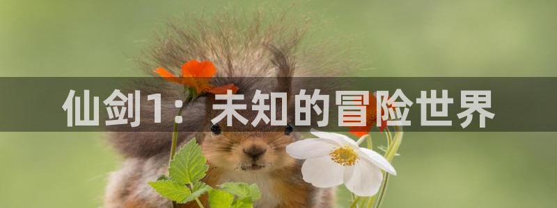 ag街机官网解绑银行卡：仙剑1：未知的冒险世界