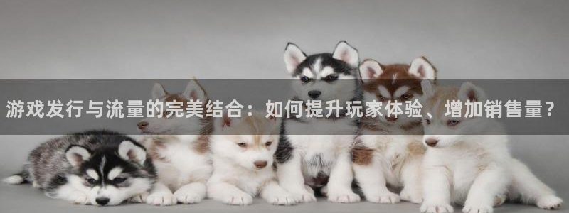 ag街机子公司怎么样知乎：游戏发行与流量的完美结合：如何提升玩家体验、增加销售量？