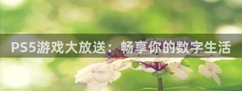 ag街机品牌策划团队介绍