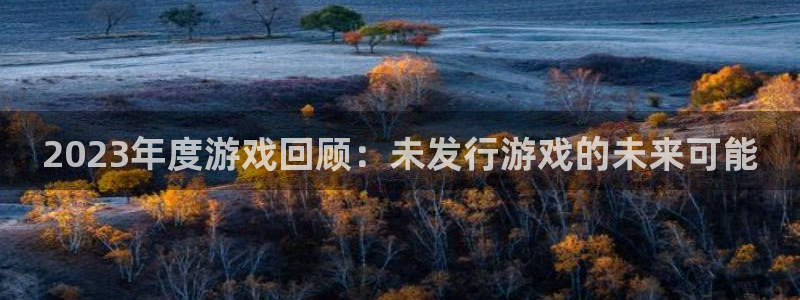 ag街机官网登录注册不了怎么回事：2023年度游戏回顾：未发行游戏的未来可能