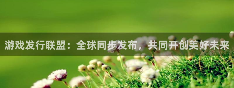ag街机官网平台怎么样知乎：游戏发行联盟：全球同步发布，共同开创美好未来