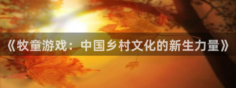 ag街机仓储中心：《牧童游戏：中国乡村文化的新生力量》