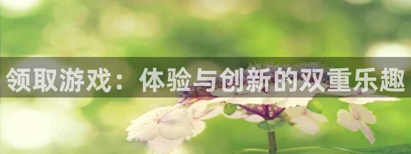 ag街机的所有小说：领取游戏：体验与创新的双重乐趣