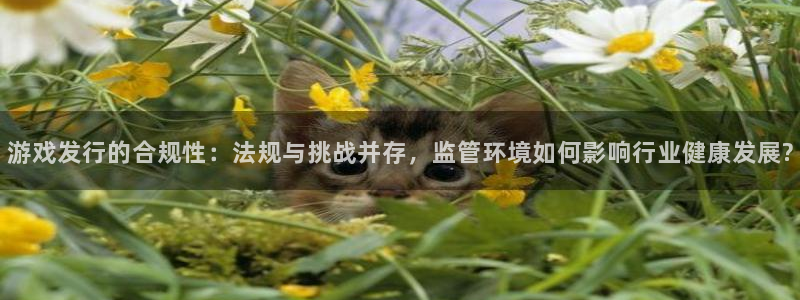 lvncesag街机衣服：游戏发行的合规性：法规与挑战并存，监管环境如何影响行业健康发展?