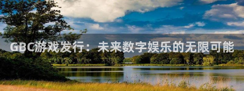 ag街机官网挂机项目怎么样