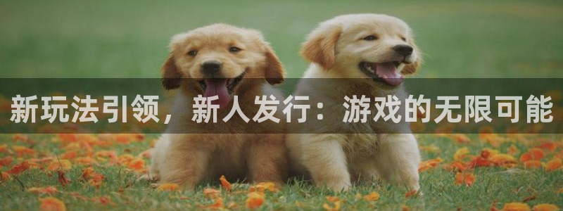 ag街机官网注册方法有哪些呢：新玩法引领，新人发行：游戏的无限可能