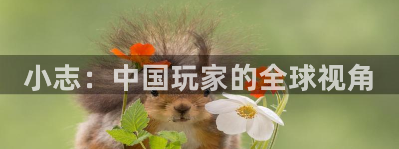 ag街机官网代理注册不了